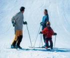 Семья лыжах